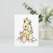 Weich überzogenes Wheaten Terrier - Weihnachten (Stehend Vorderseite)