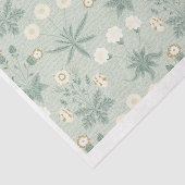 Weich und Creme Seidenpapier (Ausschnitt)