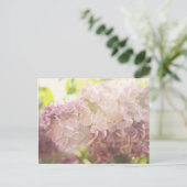 Weich und Lila Postkarte (Stehend Vorderseite)