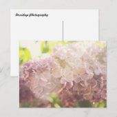 Weich und Lila Postkarte (Vorne/Hinten)