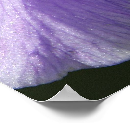 weich und zart poster (Ecke)