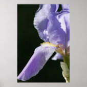 weich und zart poster (Vorne)