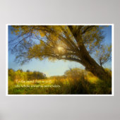 Weichbaum Poster (Vorne)