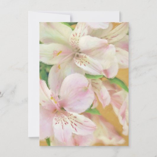 Weiche Alstromera-Malerei Einladung (Rückseite)