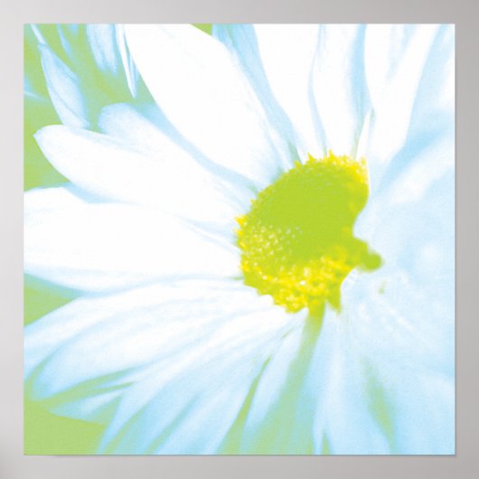 Weiche Blume Poster (Vorne)