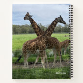 Weiche, erdige Farben, Giraffen - Notebook-Muster Notizblock (Rückseite)