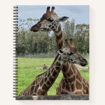 Weiche, erdige Farben, Giraffen - Notebook-Muster