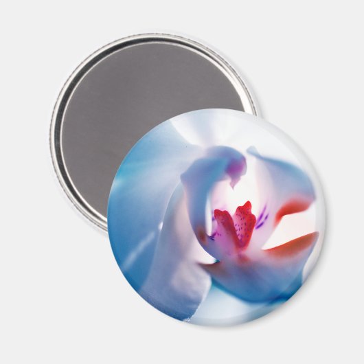 Weiche Farben Orchid Print Magnet (Vorderseite/Rückseite)
