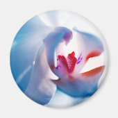 Weiche Farben Orchid Print Magnet (Vorne)