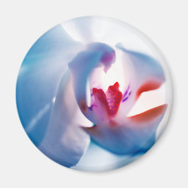 Weiche Farben Orchid Print Magnet