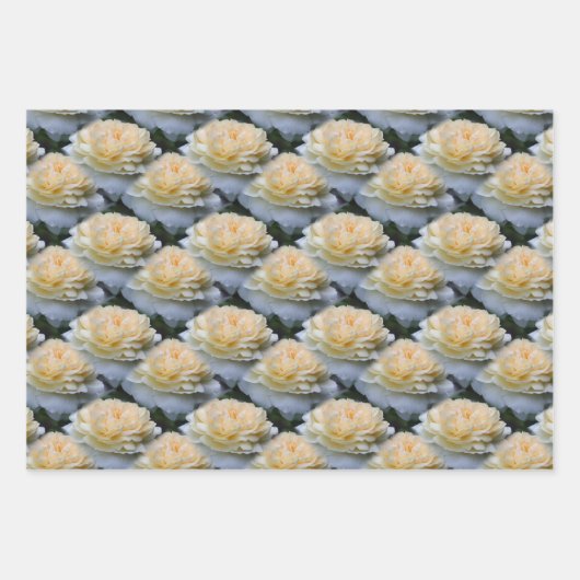 Weiche Gelbröse-Blume-Muster Geschenkpapier Set (Vorderseite 2)