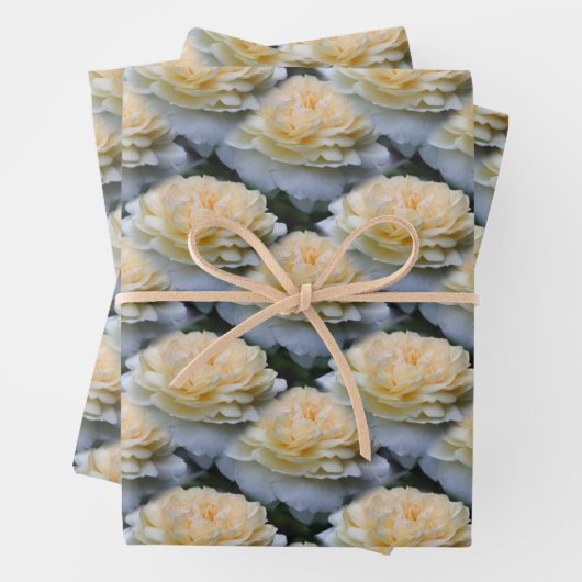 Weiche Gelbröse-Blume-Muster   Geschenkpapier Set (Beispiel)