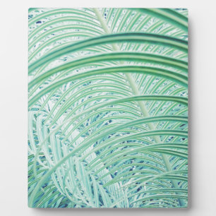 Weiche grüne Pflanzenpalmenblätter Fotoplatte