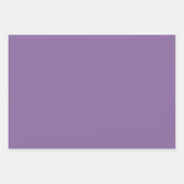 Weiche, hellgrüne und weiße Karierte Purpurfarben Geschenkpapier Set (Vorderseite 2)