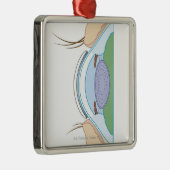 Weiche Kontaktlinse Ornament Aus Metall (Rechts)