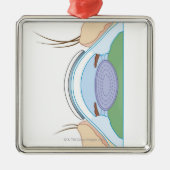 Weiche Kontaktlinse Ornament Aus Metall (Vorne)