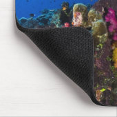 Weiche Korallen auf flachem Riff, Fidschi Mousepad (Ecke)
