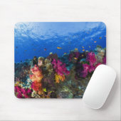Weiche Korallen auf flachem Riff, Fidschi Mousepad (Mit Mouse)