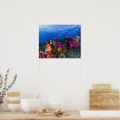 Weiche Korallen auf flachem Riff, Fidschi Poster (Küche)