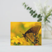 Weiche Landung Postkarte (Stehend Vorderseite)