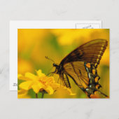 Weiche Landung Postkarte (Vorne/Hinten)