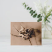 weiche Landung Postkarte (Stehend Vorderseite)