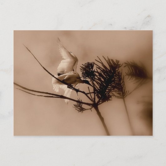 weiche Landung Postkarte (Vorderseite)