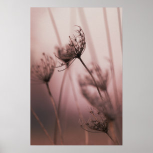 Weiche Licht Wilde Blumen Samenstände Poster