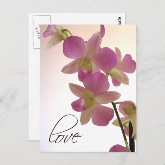 Weiche lila Orchidee Postkarte (Vorne/Hinten)
