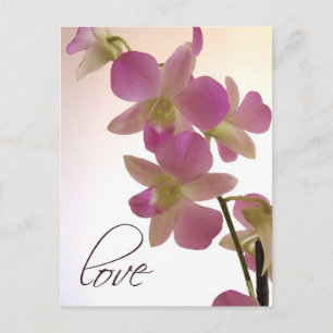Weiche lila Orchidee Postkarte
