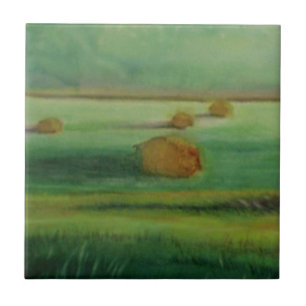 Weiche Morning Light Hay in Field Fliese