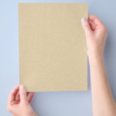 Weiche natürliche Sandgründe Flyer (Hand)