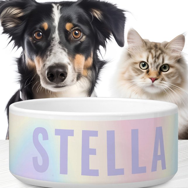 Weiche pastellfarbene Regenbogenbezeichnung modern Napf (Von Creator hochgeladen)