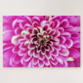 Weiche Pinks Chrysanthemen Puzzle (Horizontal)