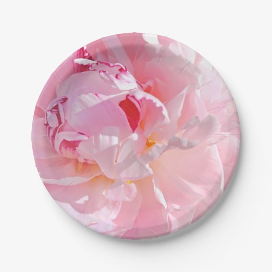 weiche rosa Blätter Pappteller (Vorderseite)