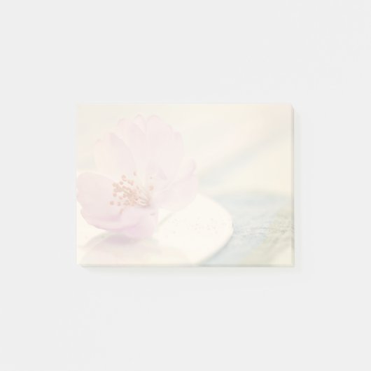 Weiche rosa Kirschblütenblüte Post-it Klebezettel (Vorderseite)