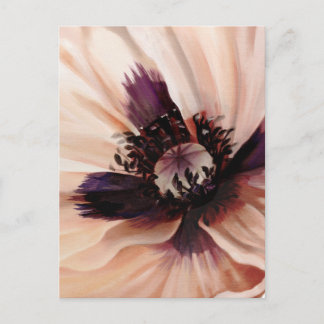 Weiche rosa Mohnblume Postkarte