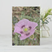 Weiche rosa Mohnblüte mit Biene Einladung (Stehend Vorderseite)