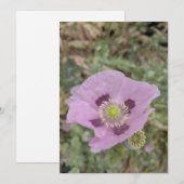 Weiche rosa Mohnblüte mit Biene Einladung (Vorne/Hinten)