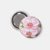 Weiche rosa Phalaenopsis-Orchidee Magnet (Vorderseite/Rückseite)