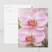 Weiche rosa Phalaenopsis-Orchidee Postkarte (Vorne/Hinten)