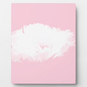 Weiche rosa weiße Pfingstrose Floral-Plakette Fotoplatte