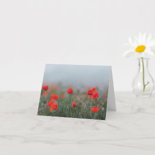 Weiche rote Mohnblumen auf einem nebligen Feld, Ge Karte