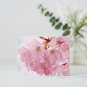 Weiche Vintage rosa Kirschblüten Postkarte (Stehend Vorderseite)