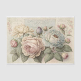 Weiche Vintage Rose in Creme und Rosa Seidenpapier