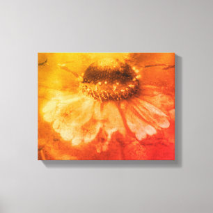 Weiche Zinnia Gänseblümchen-Blume in Sepia Vintage Leinwanddruck