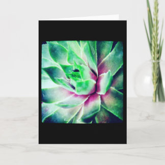 Weicher Fokus-saftige leere Gruß-Karte Karte