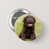 Weicher Hund des Welpen Button (Vorne & Hinten)