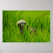 Weicher in Sägeblättern Poster (Vorne)