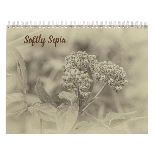 Weicher Sepia-Kalender Kalender (Titelbild)